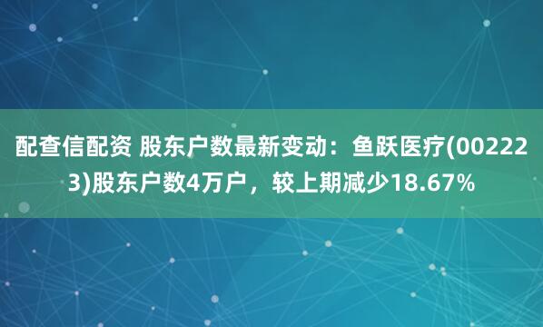 配查信配资 股东户数最新变动：鱼跃医疗(002223)股东户数4万户，较上期减少18.67%