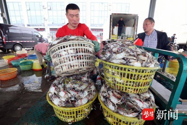 配资世界网 梭子蟹“跳上”五一餐桌！ 江苏赣榆：海鲜市场交易火爆迎假期