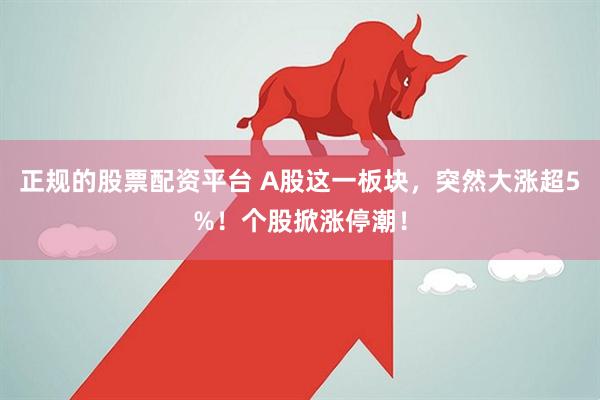 正规的股票配资平台 A股这一板块，突然大涨超5%！个股掀涨停潮！