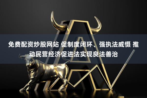 免费配资炒股网站 促制度闭环、强执法威慑 推动民营经济促进法实现良法善治