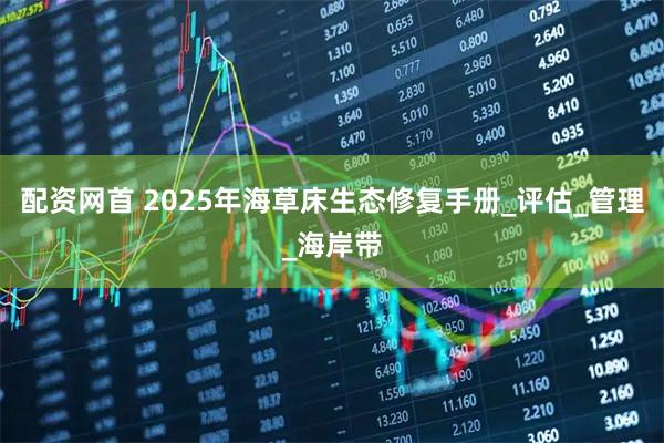 配资网首 2025年海草床生态修复手册_评估_管理_海岸带